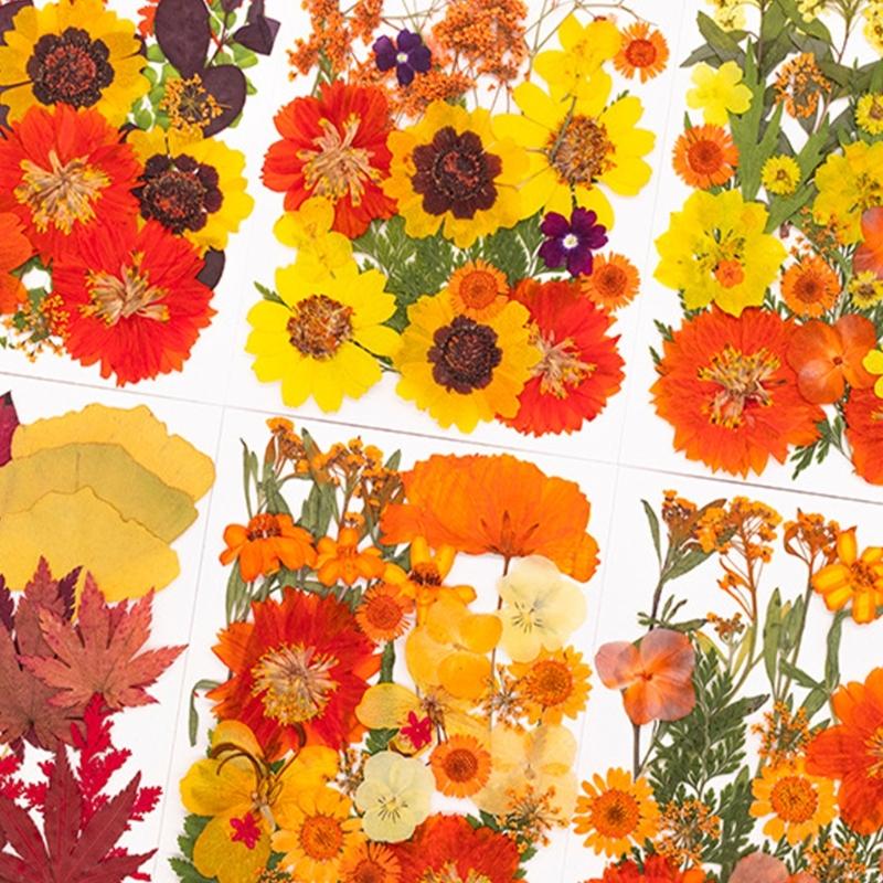 Art Craft With Leaves - Natural Pressed Dried Flower For Resin