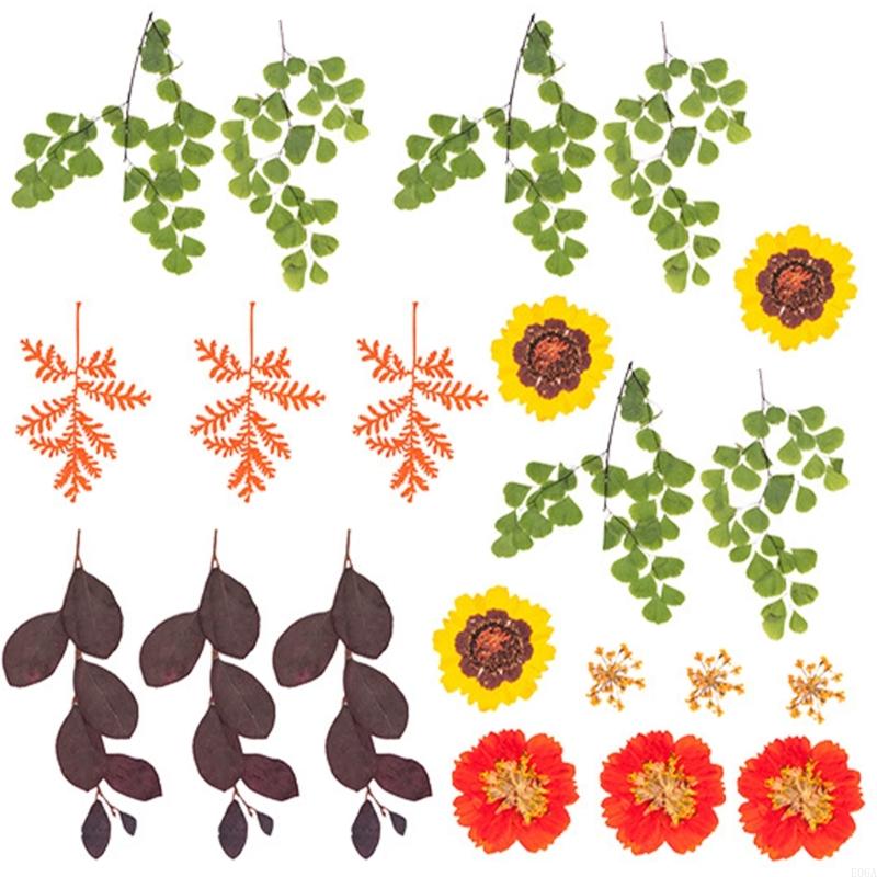 Natural Pressed Dried Flower F - огляд і ціна Art Craft With Leaves