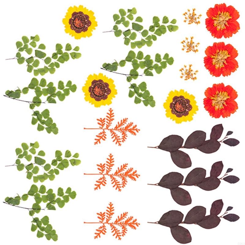 Natural Pressed Dried Flower F - огляд і ціна Art Craft With Leaves