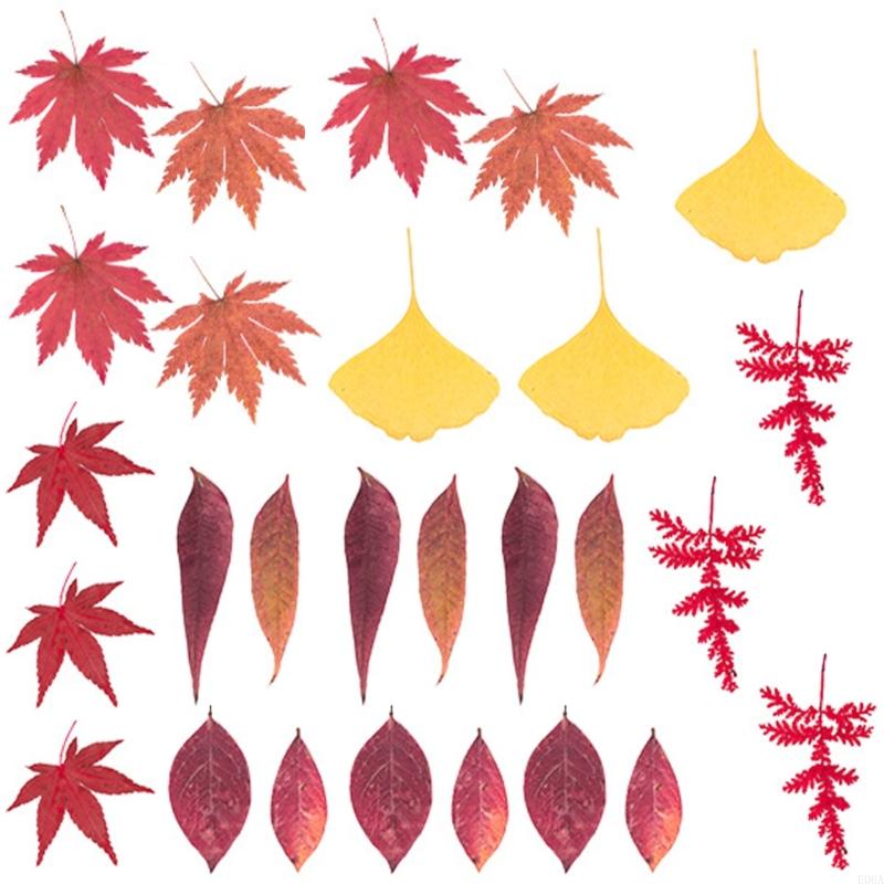 Natural Pressed Dried Flower F - огляд і ціна Art Craft With Leaves